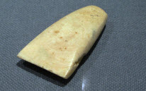 Tongan shell adze from the Te Rangi Hiroa Collection at the Bishop Museum in Honolulu, Hawaii
